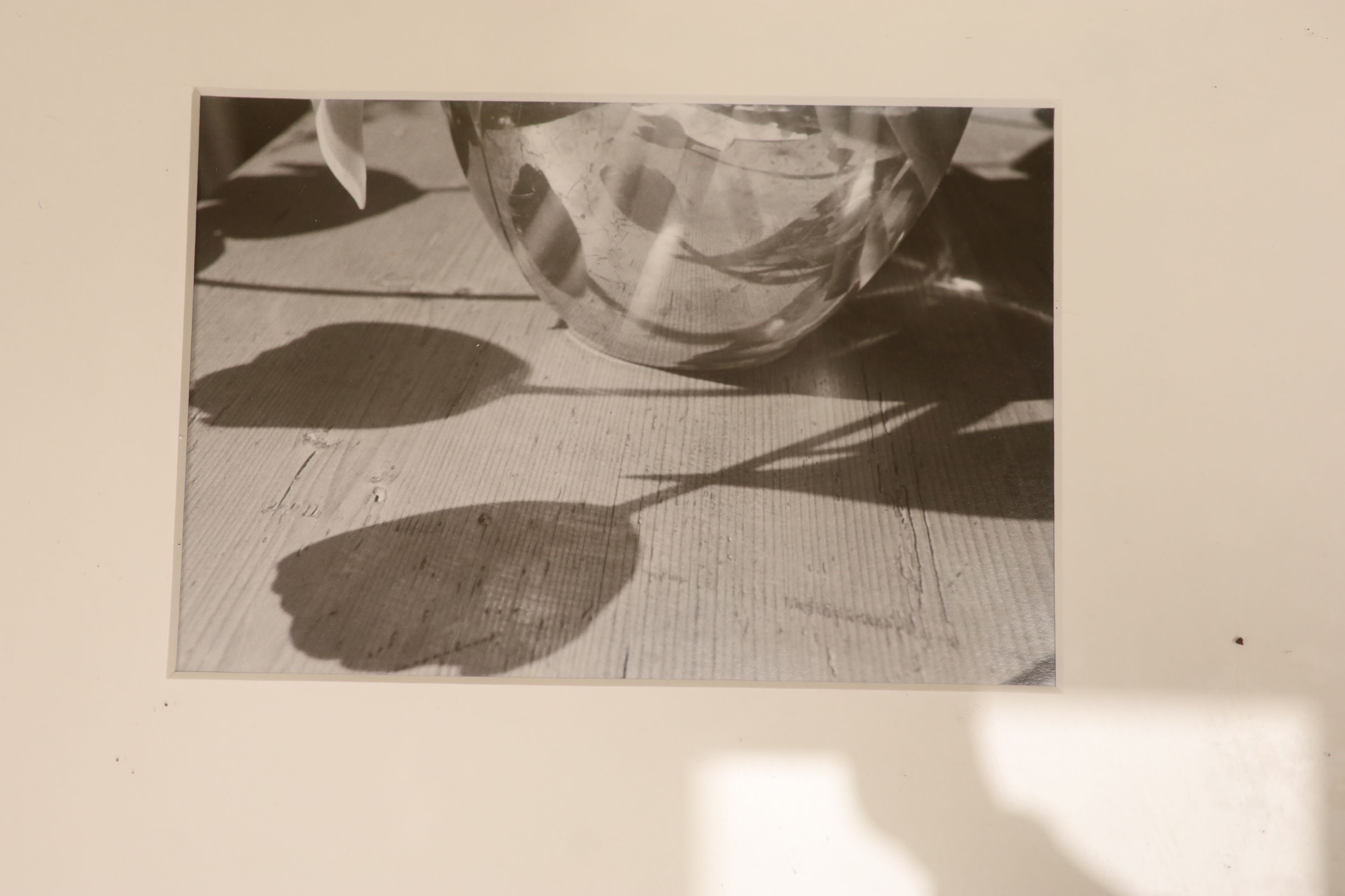 John Blakemore (1936-), eight assorted gelatin silver prints, Tulips 1988 with Zelda Cheatle Gallery label verso, 41 x 33cm; Tulip Series, 41 x 32cm; Tulip Series, two in one frame